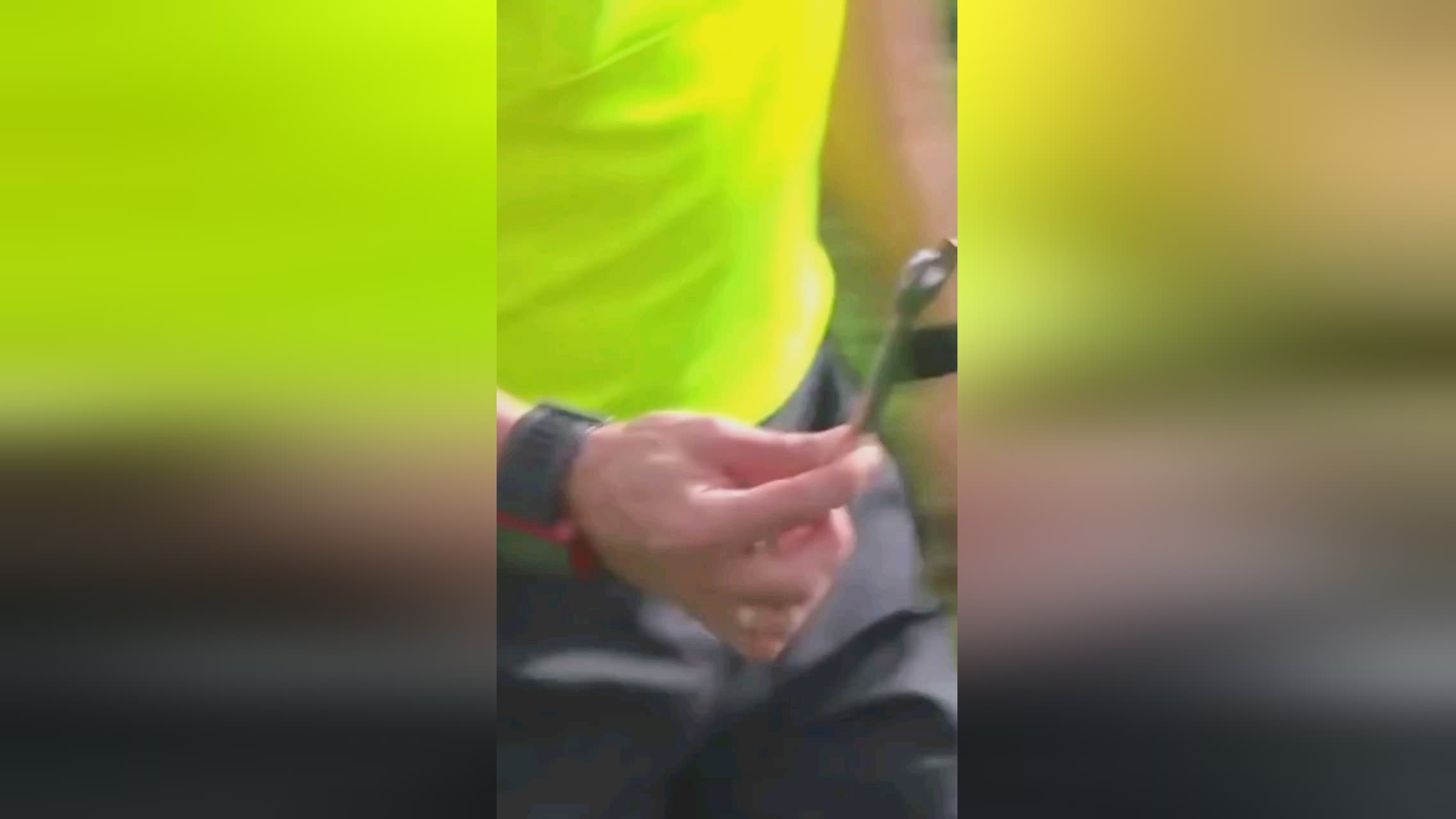 领导下的